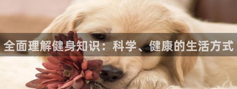 意昂4娱乐