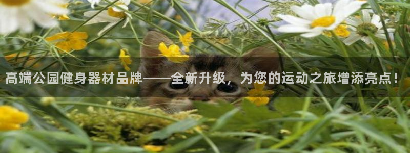 意昂4官方平台