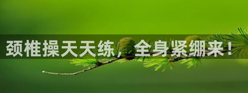 意昂4招商