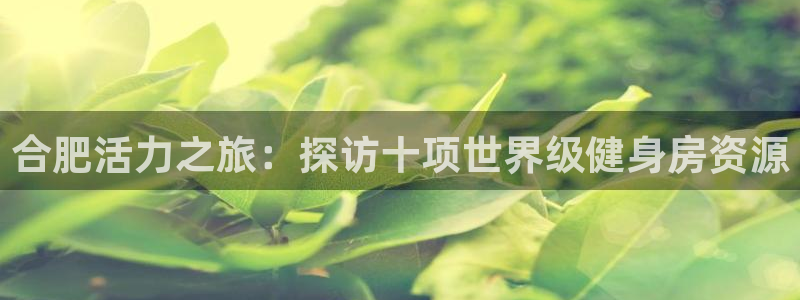意昂4代理