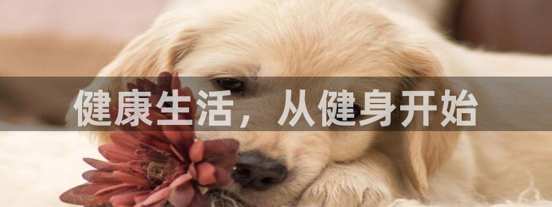 意昂4登录