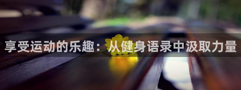 意昂4代理